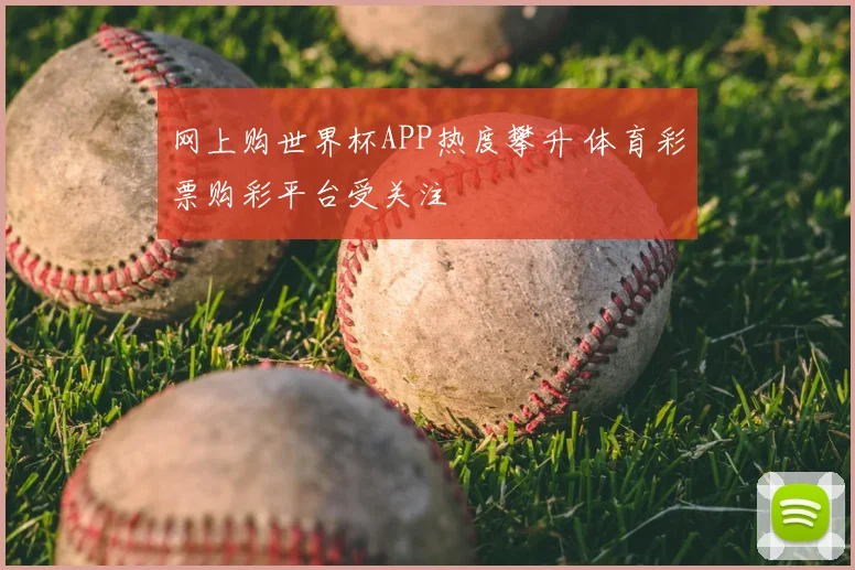 网上购世界杯APP热度攀升 体育彩票购彩平台受关注