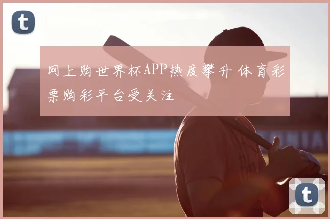 网上购世界杯APP热度攀升 体育彩票购彩平台受关注